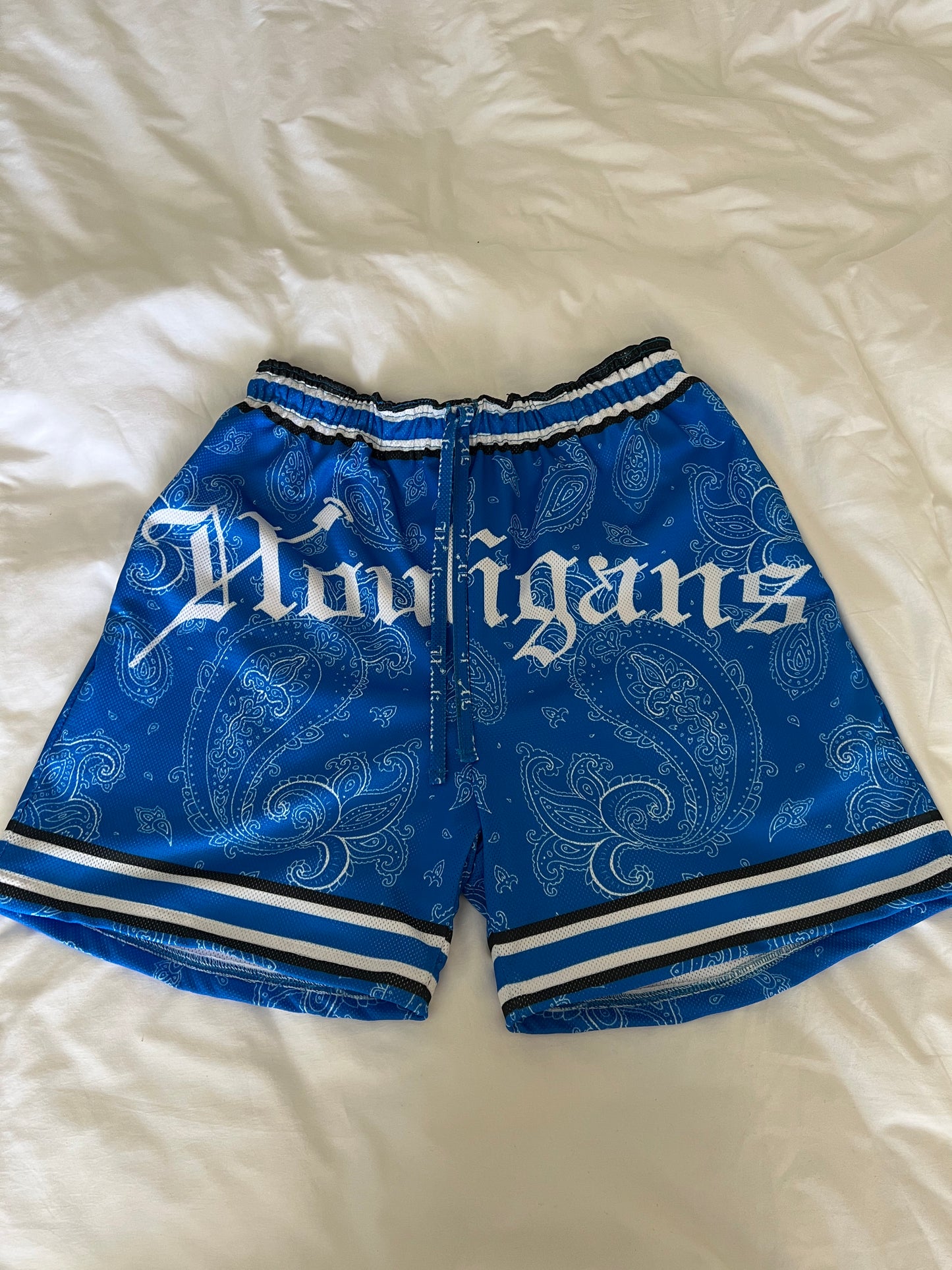 Houligan Blue Baisley Shorts